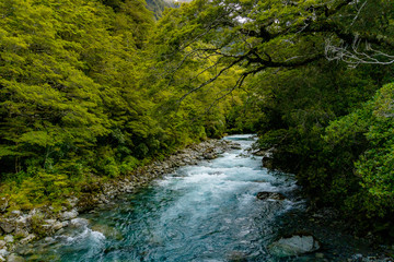 Obraz premium Dojście do jeziora Marian