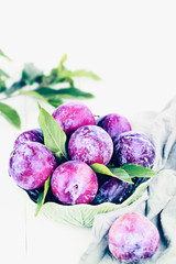 Bowl of freshly picked organic plums with leaves. Image shot from high angle view with room for text.