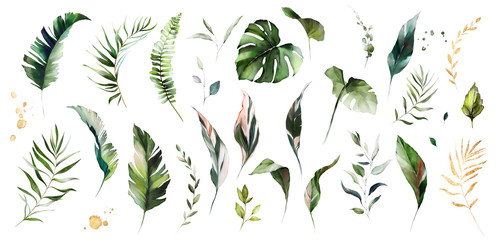 set watercolor leaves - monstera, banana palm, fern. herbal illustration. Botanic tropic composition.  Exotic modern design - obrazy, fototapety, plakaty