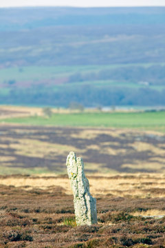 One of the High Bridestones, a Bronze Age standing stone, near Grosmont, North York Moors National Park, Yorkshire, England, UK.
