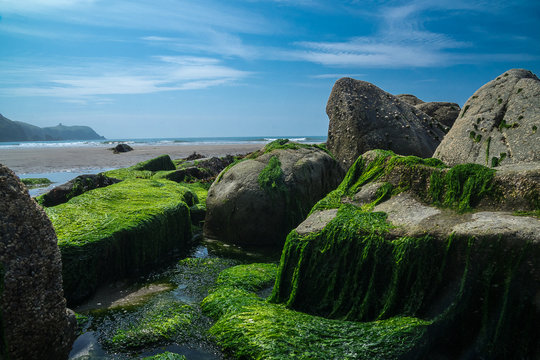 wales, moosfelsen am meer