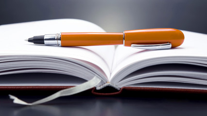 red pen lying on an open notebook.