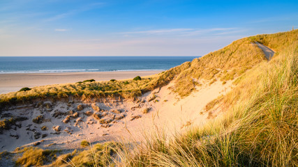 Sand Dunes at Budle Point, at the mud flats of Budle Bay which at low tide are part of Lindisfarne Nature reserve on Northumberland's AONB coastline