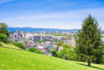 Fototapeta na wymiar 新緑の丘から眺める住宅街
