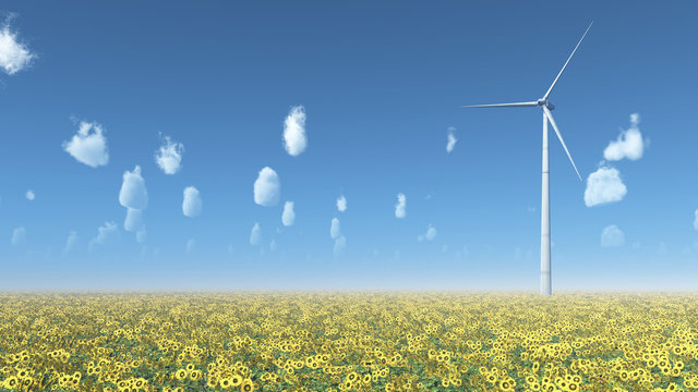 Windkraftanlage und Sonnenblumen