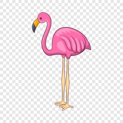 Flamingo icon. Cartoon illustration of flamingo vector icon for web
