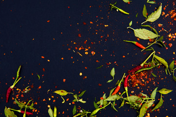 Chilli peppers and spices on the black background.