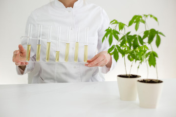 Showing cbd oil in various glass bowls in a laboratory