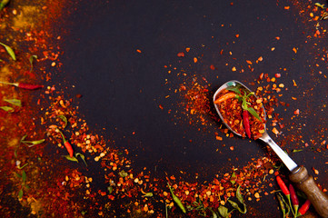 Chilli peppers and spices on the black background.