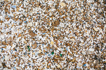 Beautiful many seashells and stones and rock top view on sandy beach on tropical island. Shells close up, ocean bay or lagoon wallpaper. Copy space. Summer vacation.