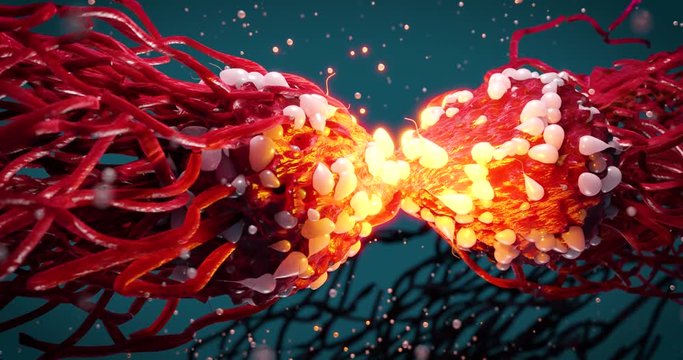  Dividing Cancer Cell Oncology Research Concept 3d illustration proteins with lymphocytes gene editing  , t cells or cancer cells, meiosis, mitosis 3d rendering 