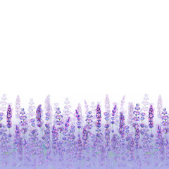 Lavender field pattern on white background. Watercolour hand drawn flowers, leaves, plants