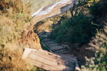 Beautiful view at sandy cliff with grass and wooden stairs to calm sea. Beach  on tropical island at ocean bay or lagoon. Tranquil calm moment. Summer vacation. Copy space