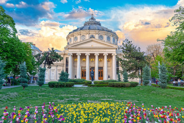 Romanian Atheneum, an important concert hall and a landmark in Bucharest, Romania. Sunset colors. - obrazy, fototapety, plakaty