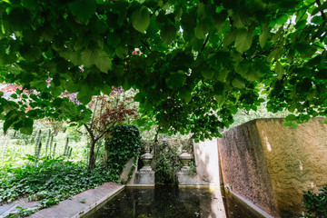 The groom in a suit and the bride in a wedding dress are walking in the park