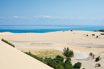White beach with tropical sand and coral with plants and blue sea background. Mozambique. Vilankulos