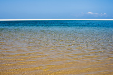White beach with tropical sand and coral with plants and blue sea background. Horizont. Mozambique. Vilankulos