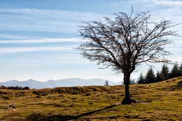 Fototapeta na wymiar landscape of the basque country