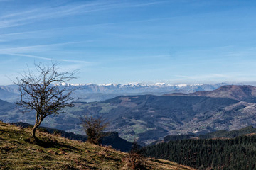 landscape of the basque country