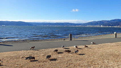 Japan Nagano Prefecture Suwa lake