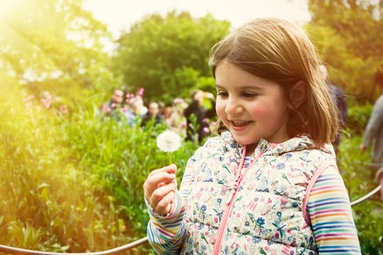 A cute little girl in sunny summer day at green nature background blowing dandelion