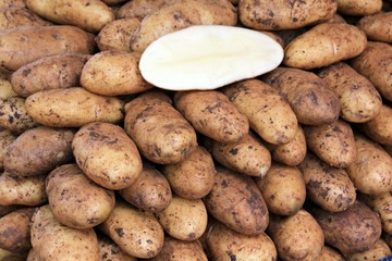 Stall with potatoes at street market