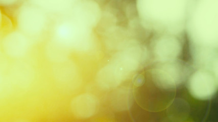Obraz premium Defocused abstract nature background yellow leaves and bokeh lights. Royalty high-quality free stock image of natural blurred bokeh background from leaf with copyspace for text advertising design