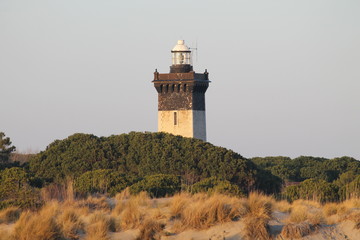Phare de l'Espiguette