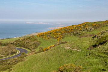 Looking out to sea from St Catherine's Down on the Isle of Wight, on a sunny spring morning