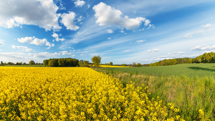 Idyllic panoramic view with fields and meadows in spring, Lueneburg Heath, Northern Germany.