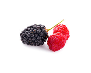 blackberries with raspberries and green leaf isolated on white background