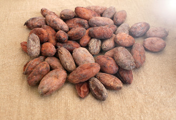 Cocoa beans. Cacao beans on a burlap background.