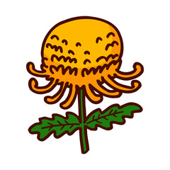 Colorful flower isolated on the white background for child