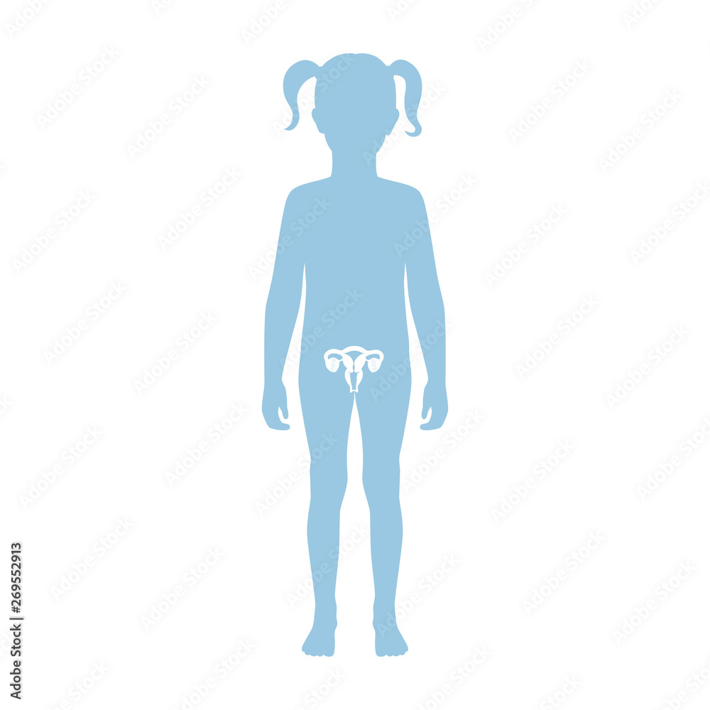 Wall mural Vector isolated illustration of uterus