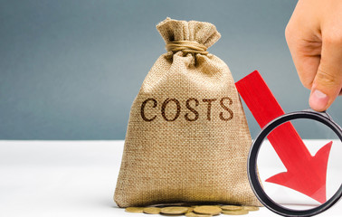 Money bag with coins with the word Costs and a down arrow. Reduction. Expenses cut. The concept of...