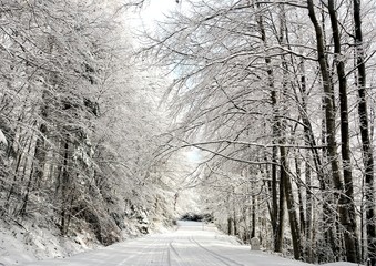 Obraz premium Road covered with snow in the forest in winter