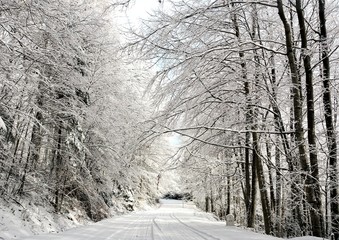 Road covered with snow in the forest in winter