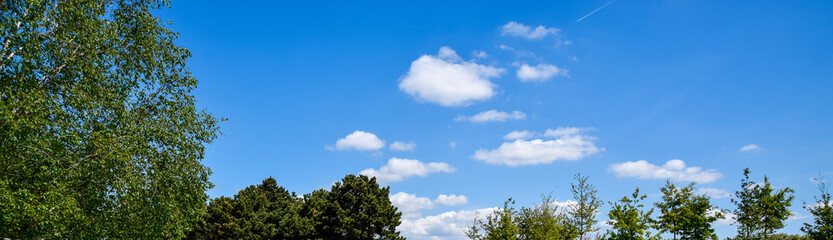 Obraz premium A day when viewing flowers