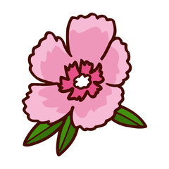 Colorful flower isolated on the white background for child