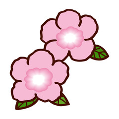 Colorful flower isolated on the white background for child