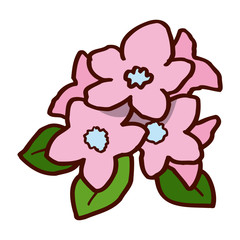 Colorful flower isolated on the white background for child