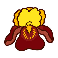 Colorful flower isolated on the white background for child