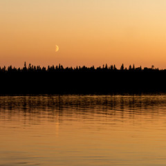 Fototapeta premium Mystical fantastic fabulous background. Moon above the dark night forest near the lake.