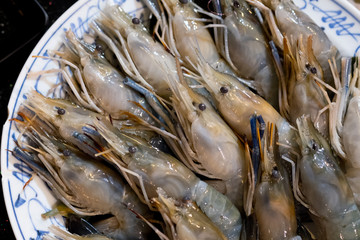 Closeup fresh royal raw shrimps. Concept preparation for seafood dish