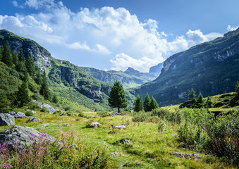 Fototapeta na wymiar Beautiful idyllic swiss Alps landscape with mountains in summer, Freiiburg Kärpf, Canton Glarus