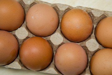 chicken eggs in a cage closeup