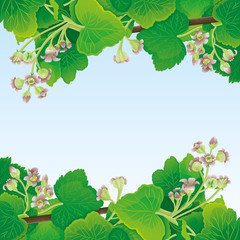 Frame of currant leaves and flowers on a blue background.
