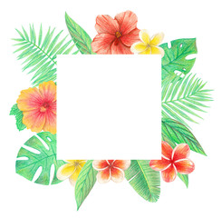 Fototapeta na wymiar tropical exotic leaves and flowers frame. palm leaves, hibiscus and plumeria. hand drawing colored pencils illustration. isolated elements