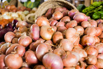  bulb onion on market counter