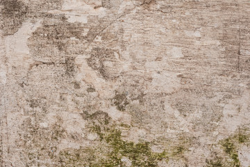 Texture, wall, concrete, it can be used as a background. Wall fragment with scratches and cracks
